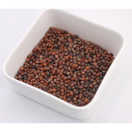 graines germees recettes graines germees recettes