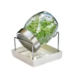 Germoir Geo Jar - Glasgefäß für Bio-Keimsprossen | Biovie Germoir Geo Jar - Glasgefäß für Bio-Keimsprossen | Biovie