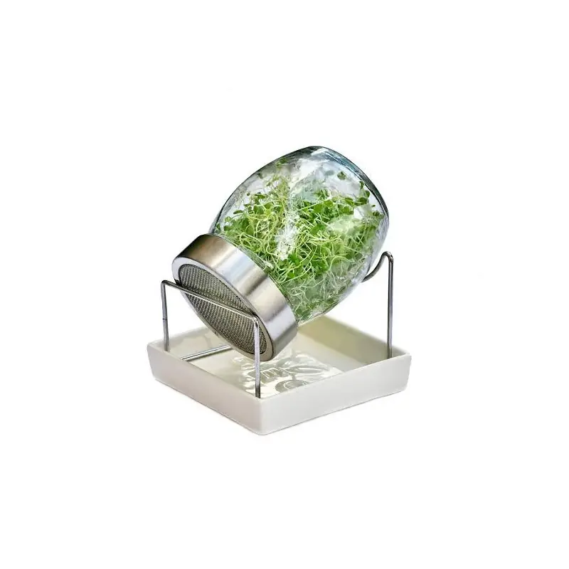 Germoir Geo Jar - Glasgefäß für Bio-Keimsprossen | Biovie