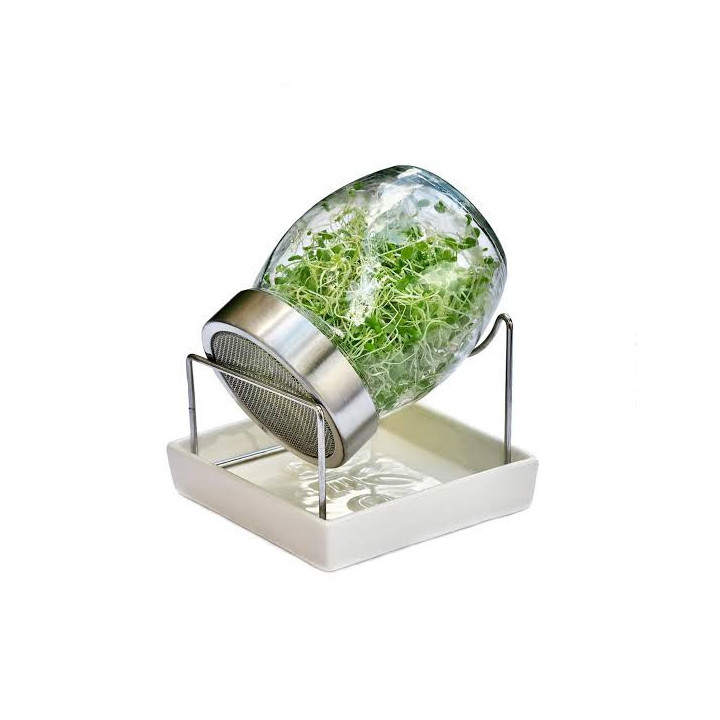 Germoir Geo Jar - glazen pot voor biologische kiemzaden | Biovie