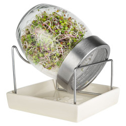 Germoir Geo Jar - Glasgefäß für Bio-Keimsprossen | Biovie