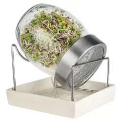 Germoir Geo Jar - frasco de vidrio para germinados orgánicos | Biovie Germoir Geo Jar - frasco de vidrio para germinados orgánicos | Biovie