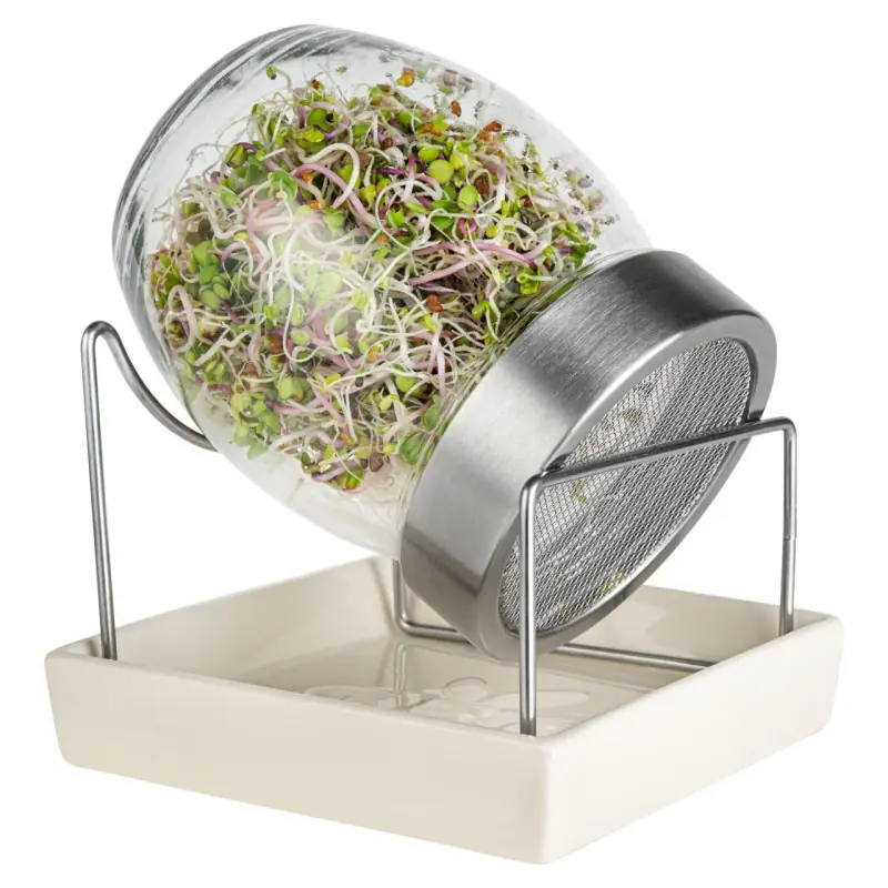 Germoir Geo Jar - Glasgefäß für Bio-Keimsprossen | Biovie