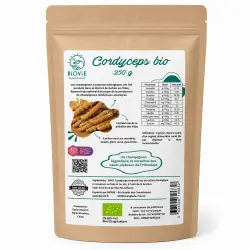 Cordyceps w proszku BIO (250 g)