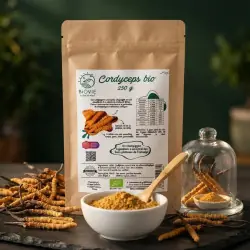 Cordyceps w proszku BIO (250 g)