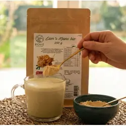 Soplówka jeżowata (Lion's Mane) w proszku BIO (250 g)