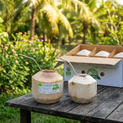 Organic Thai Coconuts | Pallet of cartons