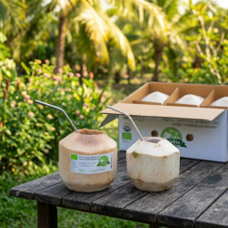 Orzech kokosowy Tajlandia Bio | Paleta kartonów