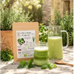Jugo de hierba de cebada en polvo BIO (500 g)