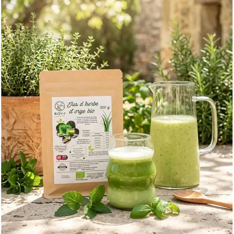 Suco de erva de cevada em pó BIO (500 g)