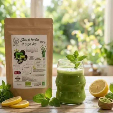 Jugo de hierba de cebada en polvo BIO (500 g)