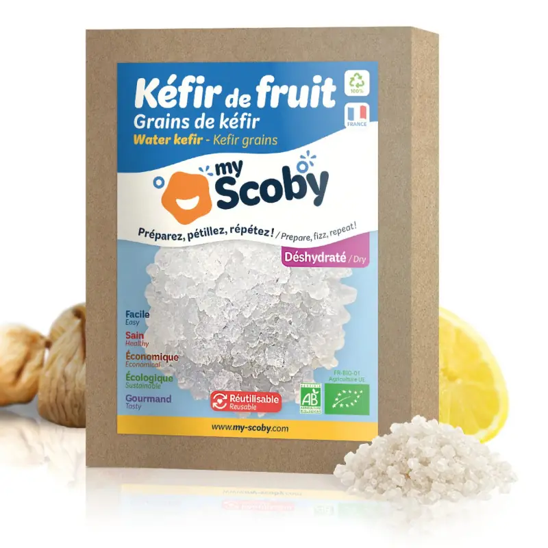 kit kéfir maison ORISAE complet 3