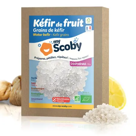 kit kéfir maison ORISAE complet 3