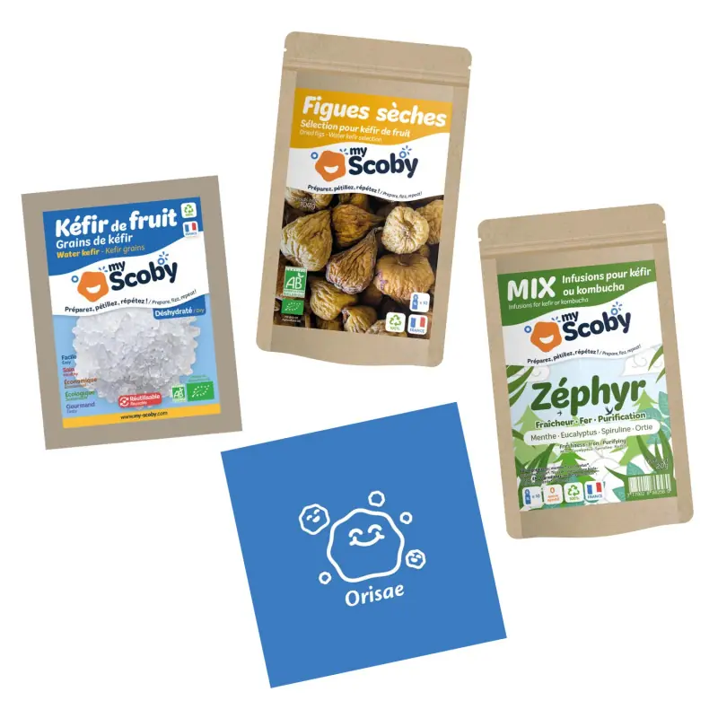Pack complet Kéfir de fruit BIO