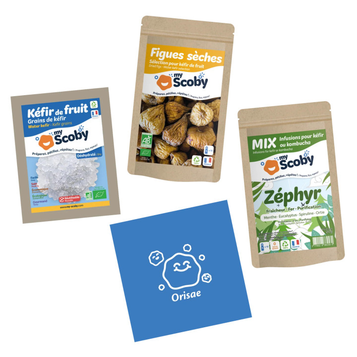 Pack complet Kéfir de fruit BIO