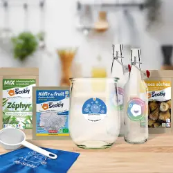 Paquete completo de kéfir de fruta BIO