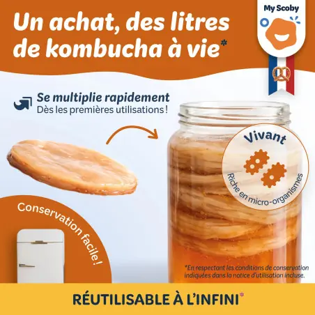 Kit complet kombucha ORISAE INFOS 4