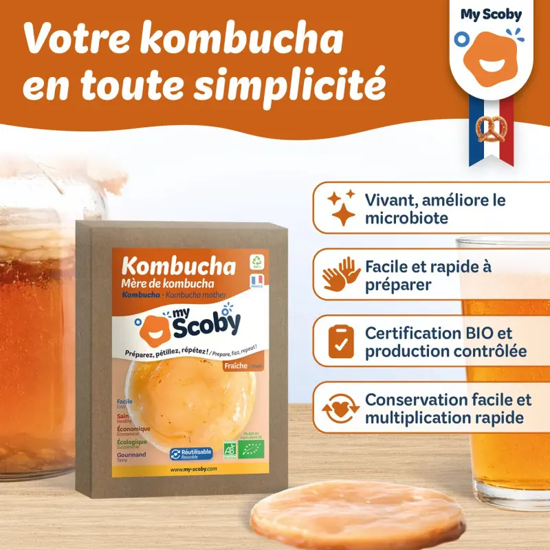 Kit complet kombucha ORISAE INFOS 1