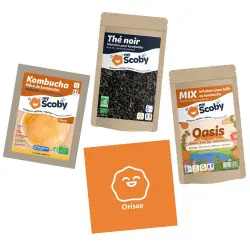 Kit complet kombucha ORISAE 3