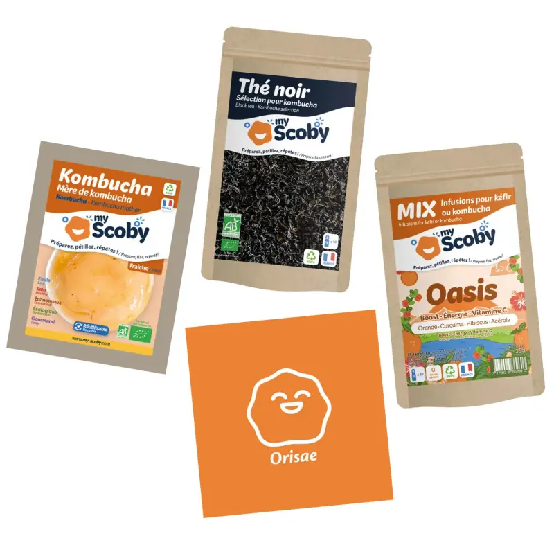 Kit complet kombucha ORISAE 3