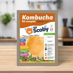 Kit complet kombucha ORISAE 2