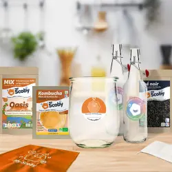 Kit complet kombucha ORISAE 1