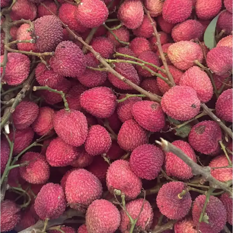 Litchis bio d'Espagne - Caisse de 2 kg | Biovie