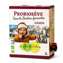 Linfa di Betulla Fermentata Bio al Ribes Nero 3L | Biovie