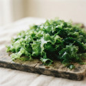 Alghe lattuga di mare biologiche fresche | BRETALG