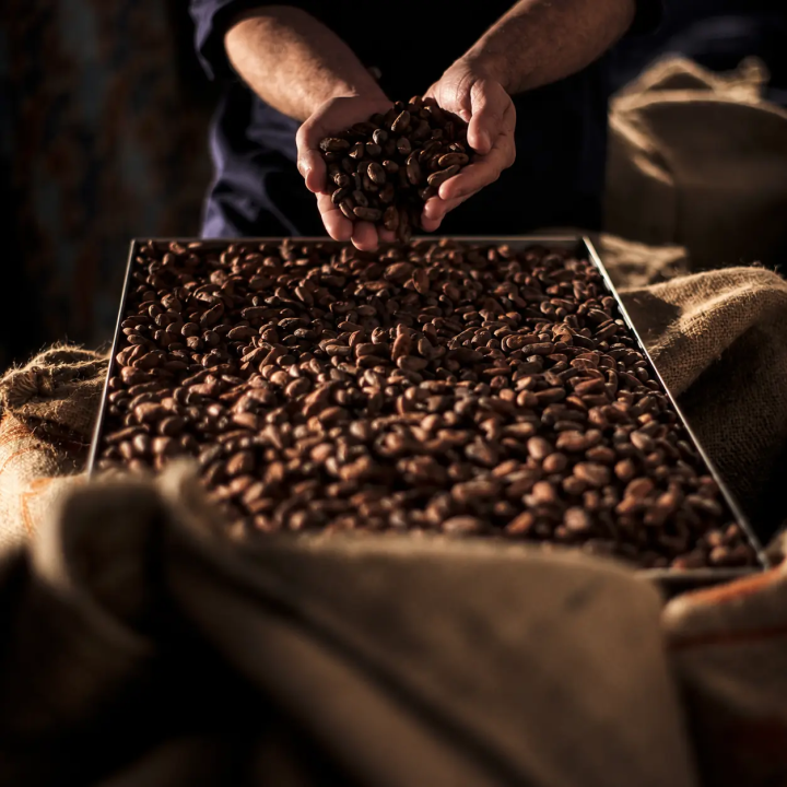 Organic raw cacao Gianduja bar, hazelnuts and almonds | Biovie