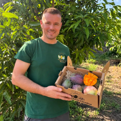 Osteen Organic Mangoes from Spain - 5 kg Box | Biovie