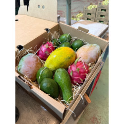 Organic exotic fruit mix from Spain 5 kg | Biovie