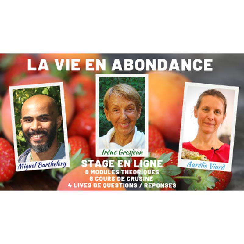 La Vie En Abondance - Stage en ligne avec Aurélie Viard Miguel Barthelemy Irène Grosjean