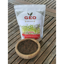 Graines à germer chou noir Bavicchi Biovie en emballage et en vrac Graines à germer chou noir Bavicchi Biovie en emballage et en vrac