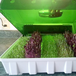 Easygreen automatic filling Easygreen automatic filling
