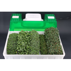 Easygreen Light automatic sprouter | Sprouter for sprouted seeds Easygreen Light automatic sprouter | Sprouter for sprouted seeds