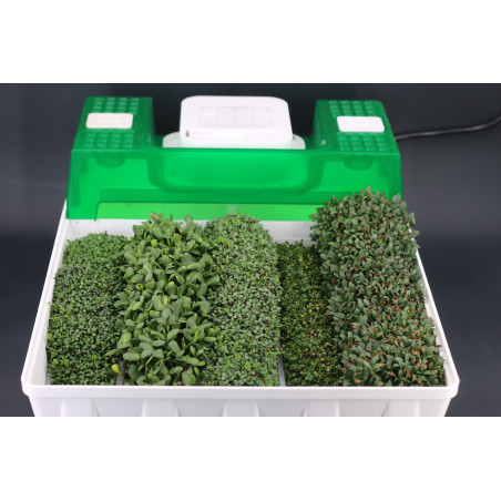 Easygreen Light automatic sprouter | Sprouter for sprouted seeds