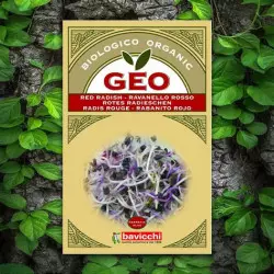 GEO graines germées radis rouge GEO graines germées radis rouge