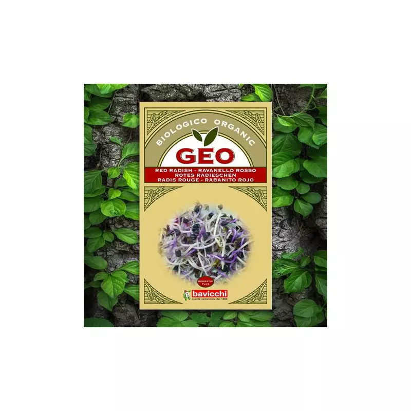 GEO graines germées radis rouge