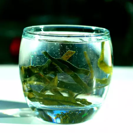 Organic Sea Beans Healthy Food Organic Sea Beans Healthy Food