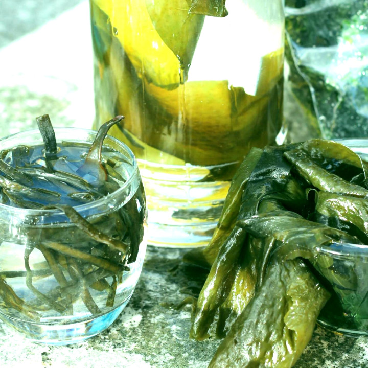 Organic Seaweed Wakame Beans