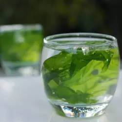 fresh sea lettuce fresh sea lettuce