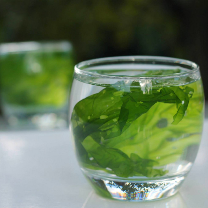 Fresh sea lettuce