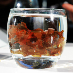 Fresh Organic Nori Seaweed