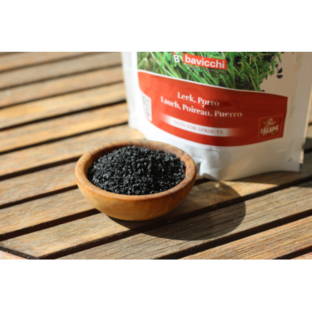 Organic leek sprouting seeds Organic leek sprouting seeds