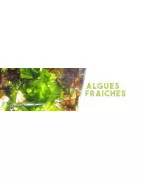 Alghe Biovie (+22 prodotti)