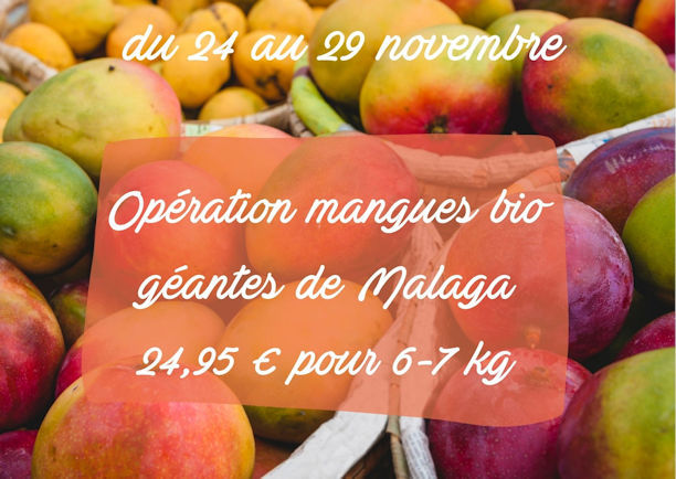 Mangos Spain