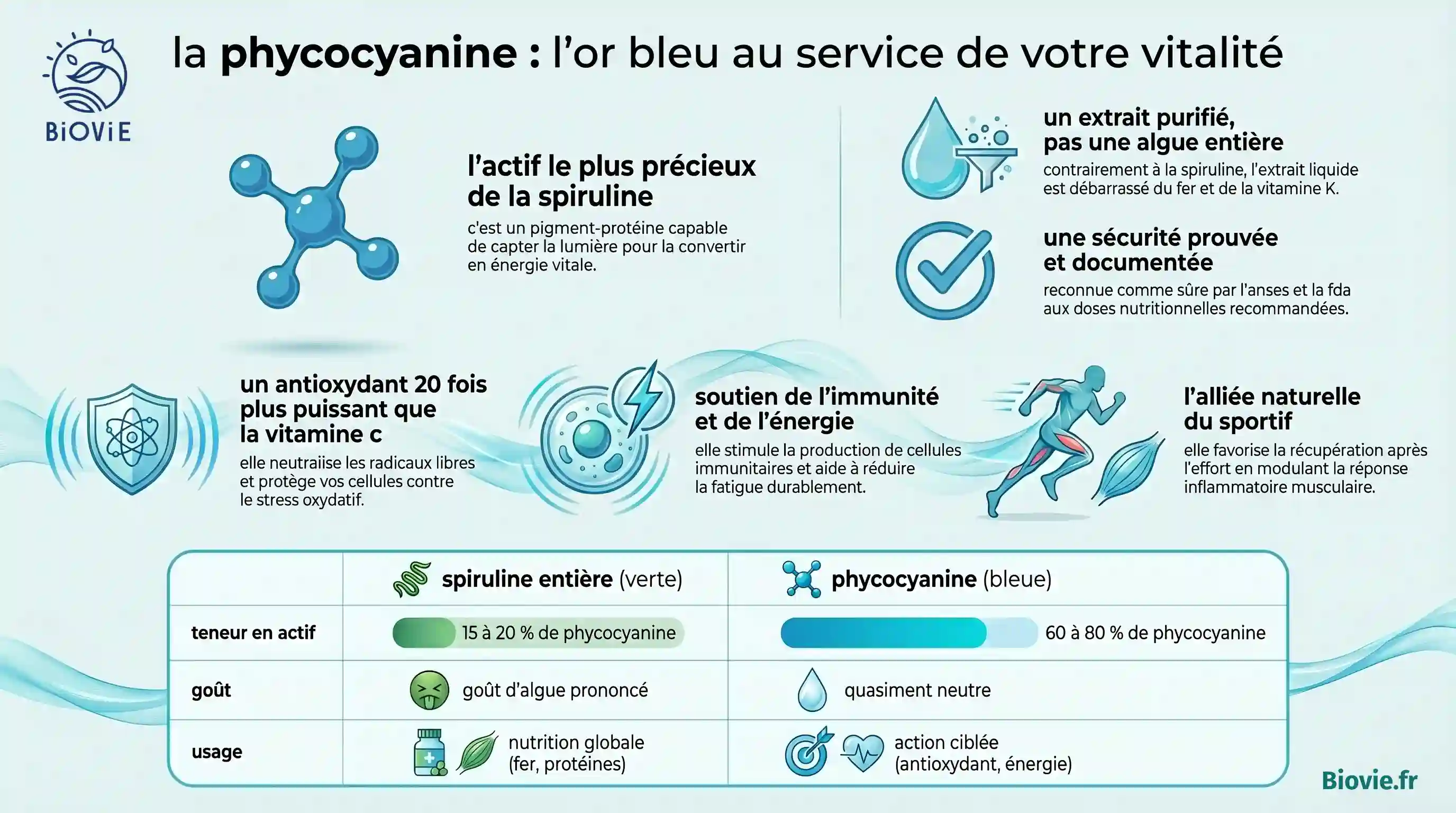 PHYCOCYANINE INFOGRAPHIE
