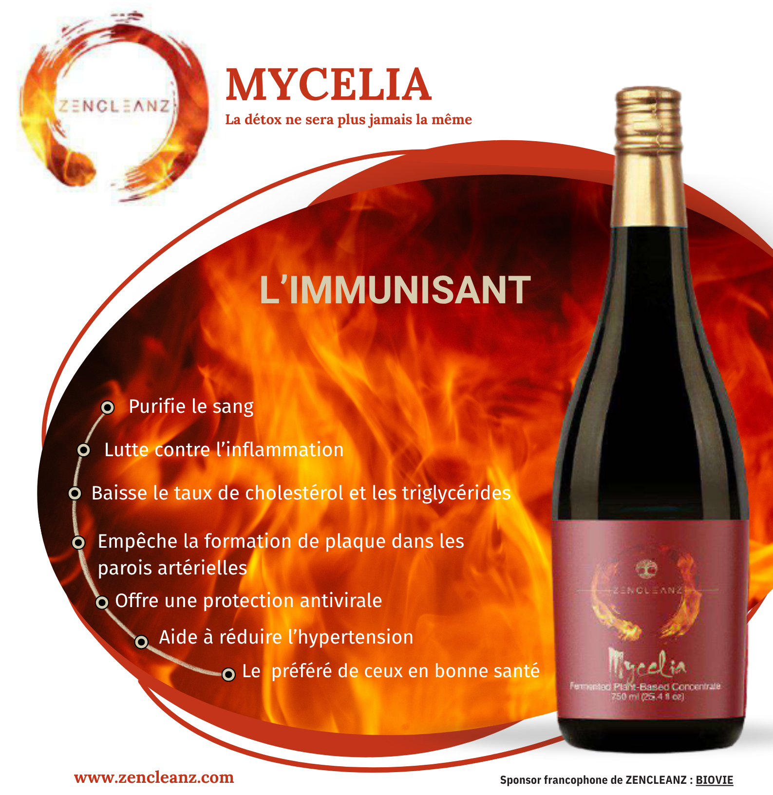 MYCELIA