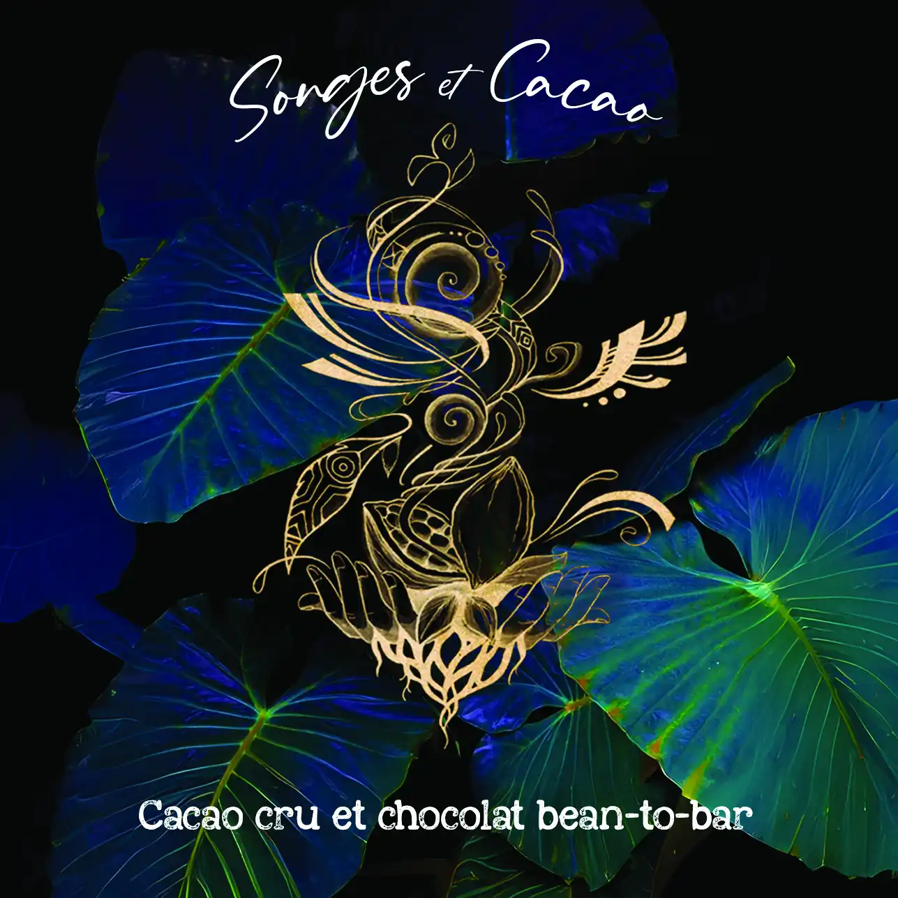 songes et cacao